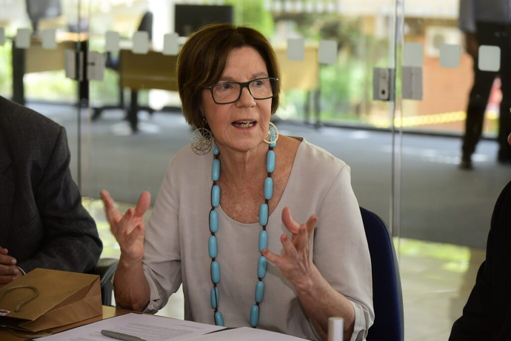 Professora Maria Alice Setúbal durante a primeira reunião do Conselho Científico e Cultural do IdEA