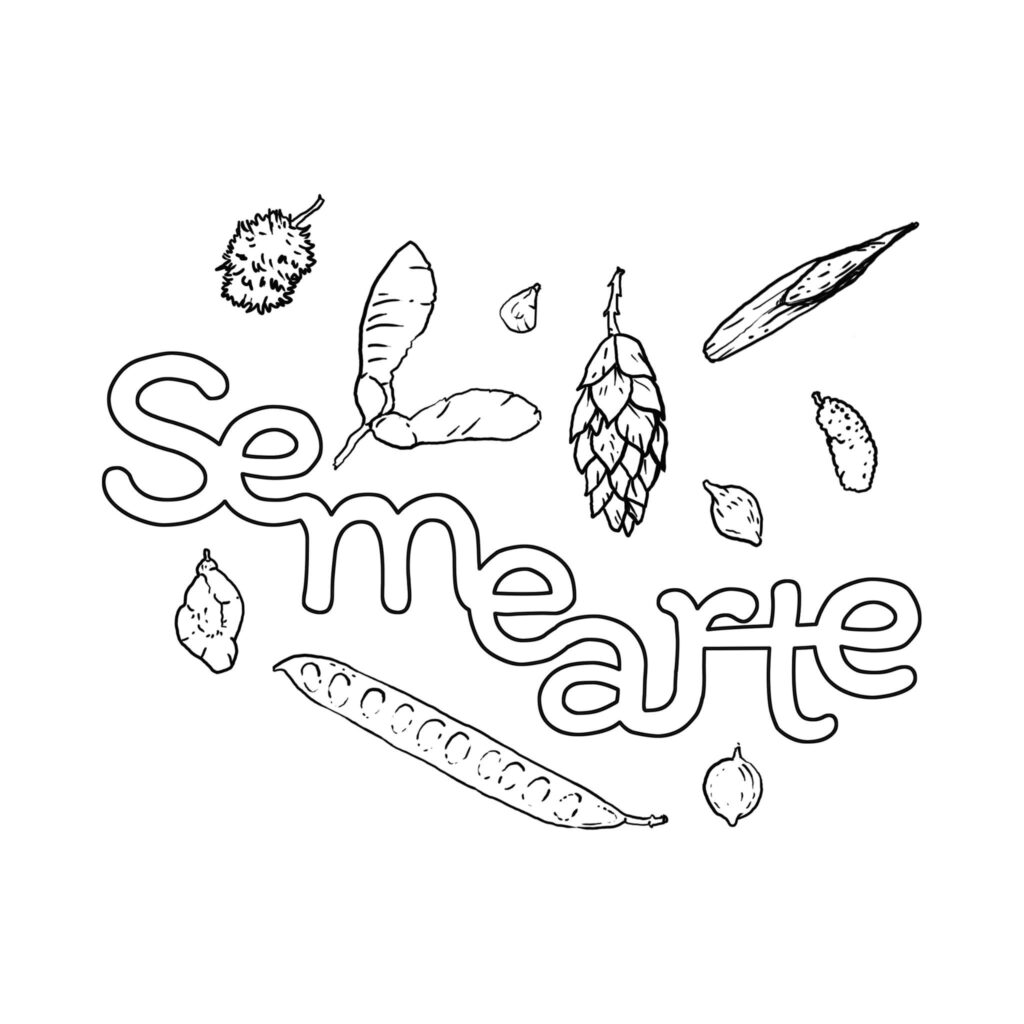 Semearte - artes visuais e multimeios
