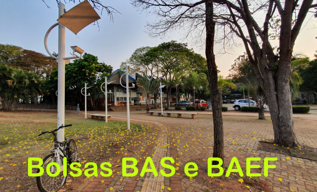 bolsas bas e baef