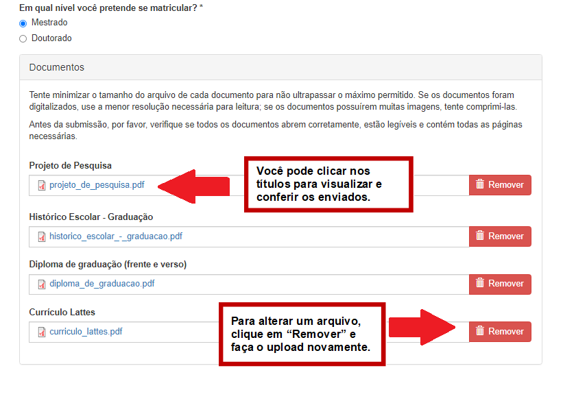 Imagem dos campos solicitados para upload
