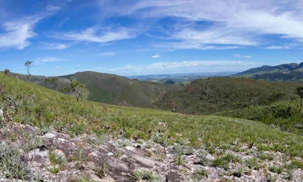 GCCRC - Projects - Campos